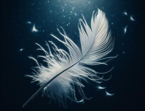 Minimalismus statt Ballast: Lass uns frei sein