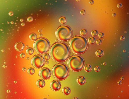 Ätherische Öle – Balance von Körper, Geist & Seele